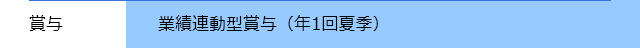 賞与 / 業績連動型賞与（年1回夏季）